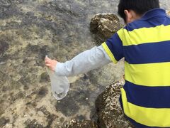 実は夜中に事件がありました。
前日に行った由布島で貝殻をたくさん拾ってきたのですが、
どうやらヤドカリさんもいたみたいで、夜中にゴソ、ゴソっと
ビニール袋から音がするのが不気味すぎました。

家へ持って帰ることはもちろんできないので、ホテルの前の
ビーチで皆さんを解放しました。