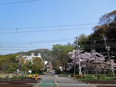 此方はサントリー山崎です。

西国街道は工事などもあり
混んでいて思っていたより京都に着くのが遅くなりました。

急に場所が飛びます・・。