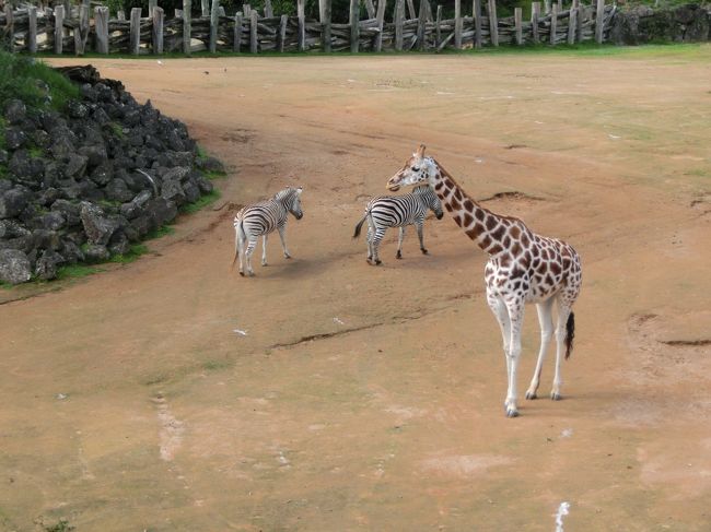 オークランド動物園