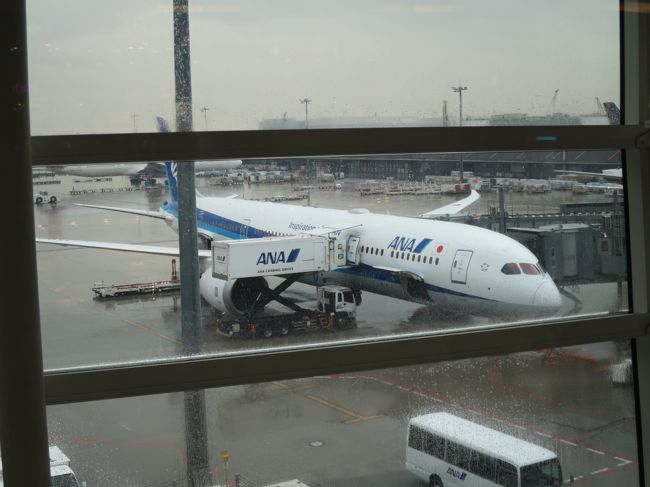 これから乗る飛行機です。<br />B787-9 JA884A<br />2016年9月～運航<br />機齢 0年7ヶ月<br />今日も雨が降っています。