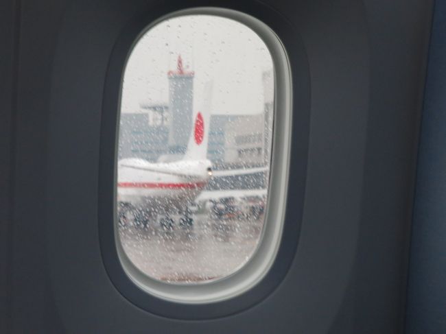 滑走路へ移動中、政府専用機が見えました。<br />自分の知り合いの報道カメラマンは海外の仕事で同行する時はこれに乗るそうです。<br />うらやましい。