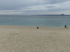 沖縄北部の海を見なければっと思い。

瀬底ビーチ
