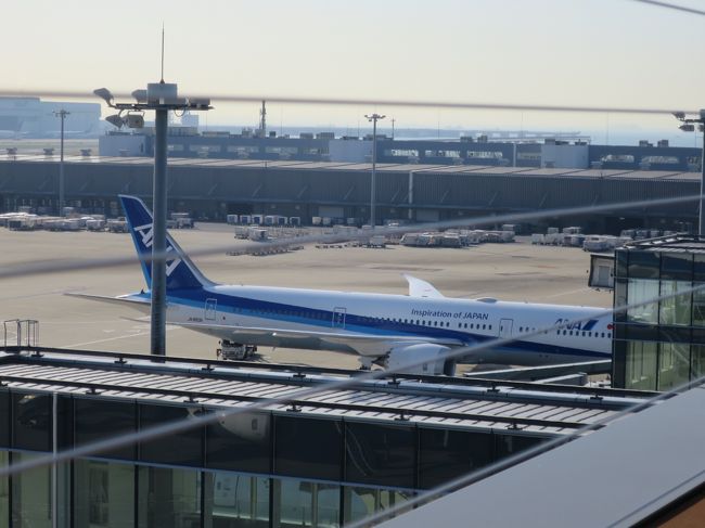 ジャカルタからの復路に乗ってきた飛行機です。<br />B787-9 JA883A<br />往路に乗ったJA884Aと同じく<br />2016年9月～運航<br />機齢 0年7ヶ月です。<br />