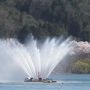 お湯が来る町～桜を追いかけて、温泉でもほっこりしました～広島市佐伯区