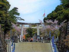 翌日も青空で暖かな朝でした。
宿をチェックアウトした後は、車で15分ほどの甲府の武田神社に参拝することにしました。