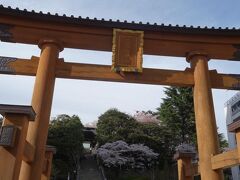 行きのバスでチェックしておいた宇都宮二荒山神社

日光の二荒山神社が有名なのでこちらは分社かと思っていましたが
平安時代中期の『延喜式神名帳』には名神大社として「下野国河内郡 二荒山神社」の記載があり、その帰属を巡って日光社との間で議論があるそうです。
現在はどちらも下野の一宮

