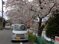 ここでも下車はせず、この桜のトンネルを車で通過しました。
終始ニコニコ顔のくま爺ぃ。

この先が旧国道1号線で、南下して行くと王将が有ります。
王将で昼食を摂り、食後の珈琲は、、、