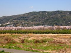 「こればすごいわ･･･」と、普段余り効かない感嘆符だらけの言葉が口から飛び出てきます。