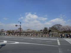 次は、姫路城です。11時半到着。

こちらは、平日ですが、観光客でいっぱいでした。

ちょうど桜満開のタイミングで、お天気も良かったからですね。