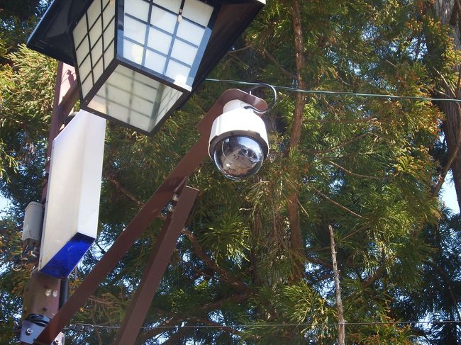 これ何？　カメラ？