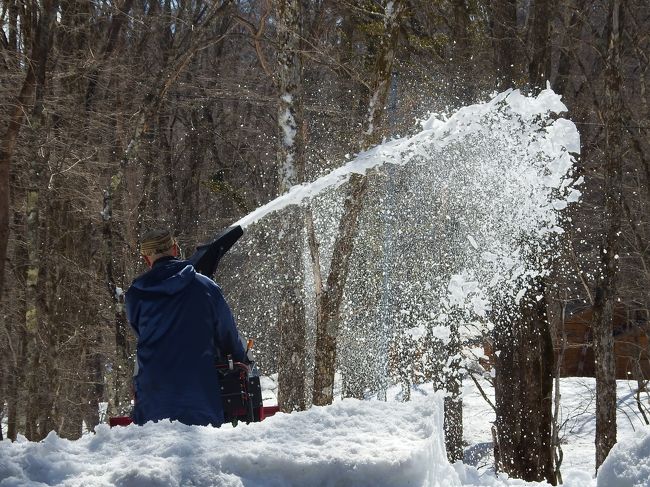 ここで見るとは思いませんでした。