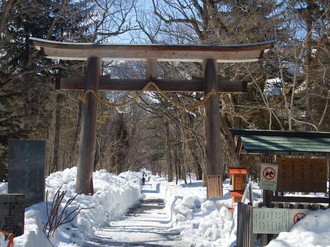 奥社まで行くのは中止。