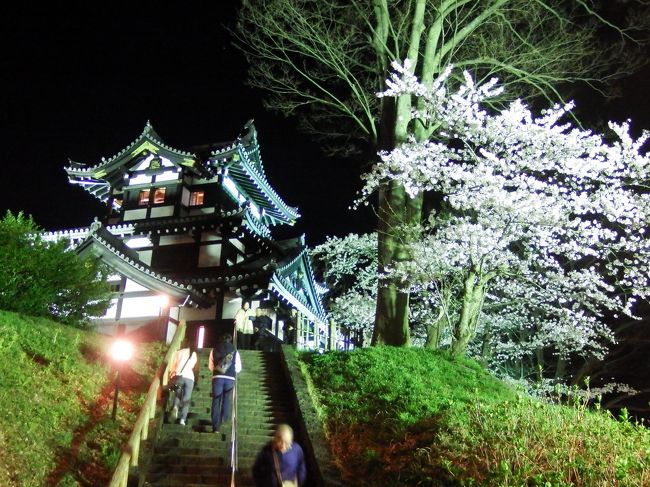 ライトアップは奇麗