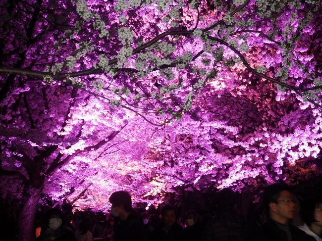 凝ったライトアップ