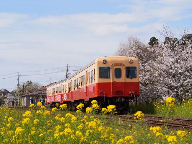 いちはらアートミックス17 晴れたら市原 行こう 市原 千葉県 の旅行記 ブログ By みささん フォートラベル いちはらアートミックス17 晴れたら市原 行こう 市原 千葉県 の旅行記 ブログ By みささん フォートラベル