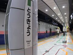 そして東京からは、おなじみ東北新幹線。
あとは仙台までなんの心配もなく連れて行ってくれるでしょう。