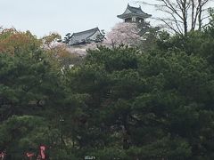 翌朝はチェックアウト前に高知城を見学します。ホテルから徒歩１５分くらいなので、歩いて行くのにはちょうど良い距離でした。