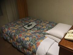 シングル部屋からはさすがに桜島ビューはありませんでした。
スタンダードなビジネスホテルとでも言いましょうか。