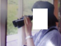 西湖の野鳥の森公園でバードウオッチングをします。