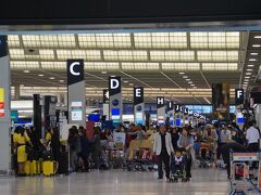 東京駅の新幹線改札口で長野の姉と合流し成田空港へ。

乗り換え時間は20分。新幹線改札から成田エクスプレスのホームまでは端から端の移動なので、のんびり屋の姉に「早めに降りてきて」と言っておいたけど関係なかった・・・

この日、ダイヤが大幅に乱れて、東京駅の駅員さんに、予約は関係なく来た電車に乗るように言われました。
結局予定より40分遅れて空港に到着。

それにしても、ホームのアナウンスが日本語だけなんて不親切じゃない？成田空港行きなのに。
なぜかみんな私に聞いてくる、「この切符の電車はこれ？」とか。
「次の電車ですよ」「ここで待っていれば大丈夫ですよ」・・・
私、駅員さんになった(^^;