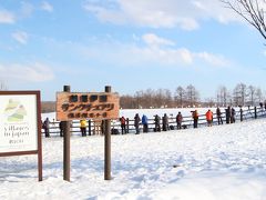 15:20 続いて、タンチョウの餌場②「鶴居伊藤サンクチュアリ」に到着♪

http://park15.wakwak.com/~tancho/index.html

こちらの方が鶴見台より広いようですが、鶴見台より柵の近くまで来る丹頂鶴もいて、写真は撮りやすかったです。
三脚あり、望遠レンズ付きの一眼レフで本格的に写真を撮っている人たちが結構いましたが、丹頂撮影のピークは2月なので、これでも大分人が少なくなったようでした。