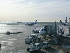 朝日がまぶしい羽田空港。これから6：55発の飛行機で岩国へ向かいます。