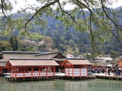 厳島神社は相変わらずの混雑
前回訪れた際にゆっくり参拝したので、今回はスルーして桜散策に専念します。

ちなみに前回の旅行は2011年10月、島に泊まったので幻想的な夜の厳島神社や早朝の人がいない神社を見ることができました。
　http://4travel.jp/travelogue/10947857
　http://4travel.jp/travelogue/10948495