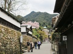 大聖院から厳島神社につづく滝小路

かつて厳島神社に仕える神職の居宅や寺が並んでいたという宮島で一番古い通り