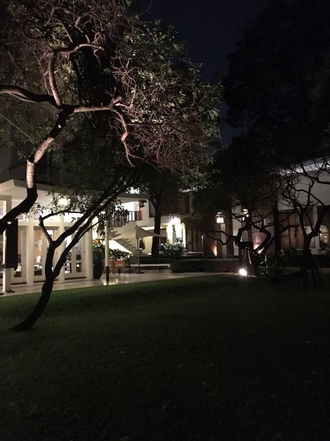 暗くなってしまったけど、広さはわかるかな