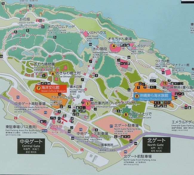 毎年恒例の元同僚との旅行 今年は沖縄２ 美ら海水族館 ひめゆりの塔ほか 美ら海 本部 今帰仁 沖縄県 の旅行記 ブログ By ベームさん フォートラベル