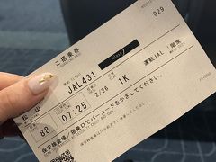 朝一番の羽田から松山行きです。

日曜日のフライトだったこともあり、Jクラスが取れました。

幸先の良いフライト♪ちょっと寂しい気持もありますが、一人旅のスタートです。