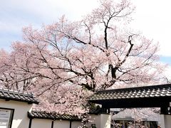 飯田市美術博物館