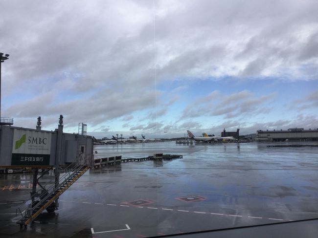 マッサージチェアに座って見える　景色です。