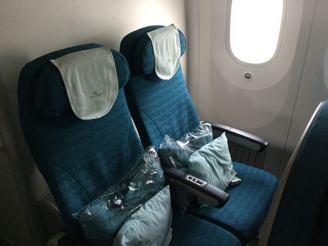 成田ーホーチミンへは、ボーイング787-9が飛んでいます。<br />エコノミークラスは3－3－3ですが、一番後ろの窓側の列だけ　2席です。<br /><br />一人旅なので、試しにこの席をとってみました。<br />壁の後ろはおトイレでしたが、それほどうるさくはなく、窓よりにスペースが<br />あるので、隣に人が座っていてもゆったりとした席でした。