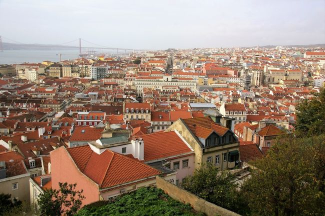 城跡からの眺望