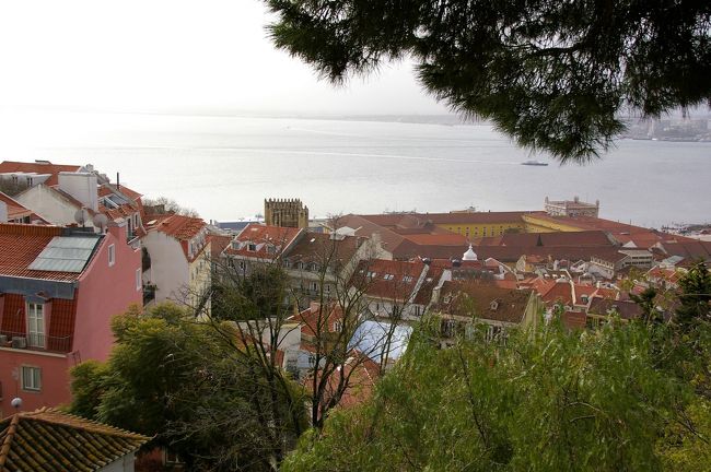 城跡からの眺望