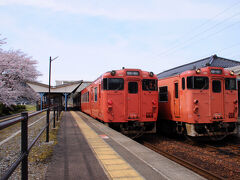 城崎温泉駅からは、14:12発の普通列車に乗り、ひとつ隣の竹野駅へと向かう。
たった一駅なのに、10分近く掛かった。
降り立った竹野駅も、桜が満開。
いつしか晴れ間も覗き始めていた。