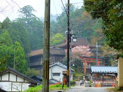 吉野水分神社まで歩きました。
徒歩で山を登る人はこの神社まで来て、折り返して帰っていました。