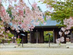 吉野神宮に寄りました。
ひっそりと春を迎えていました。
