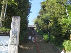 真間山弘法寺
この階段を上がって行きます。