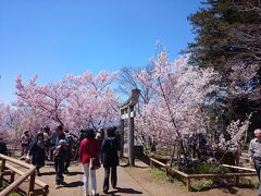 新城藤原神社