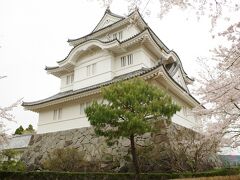 着きました！城の周りには桜がいっぱい。
観光に来ている方の他に犬の散歩に来てる方もいました。