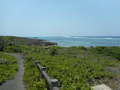 で、伊良部島の北側に位置する白鳥崎へ。海岸沿いに遊歩道が整備されているのだけれど、手入れが十分でないからか途中、ほとんど道が隠れるほどに草が生い茂っている場所も