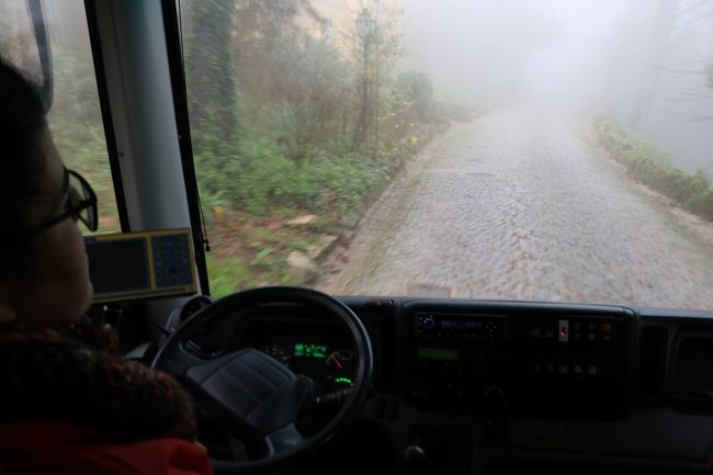 バスで移動中。<br />やっぱり霧が多いよね・・・。<br /><br />この後、とっても残念な光景を目にする事となるのです。