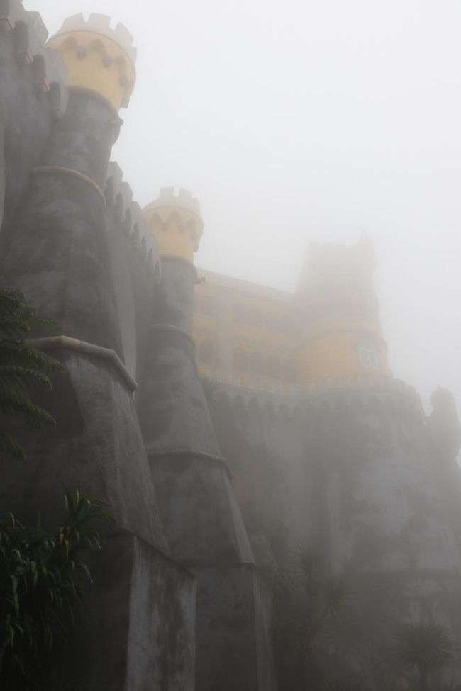 霧が濃すぎて、ほとんど見えないよ～(T_T)