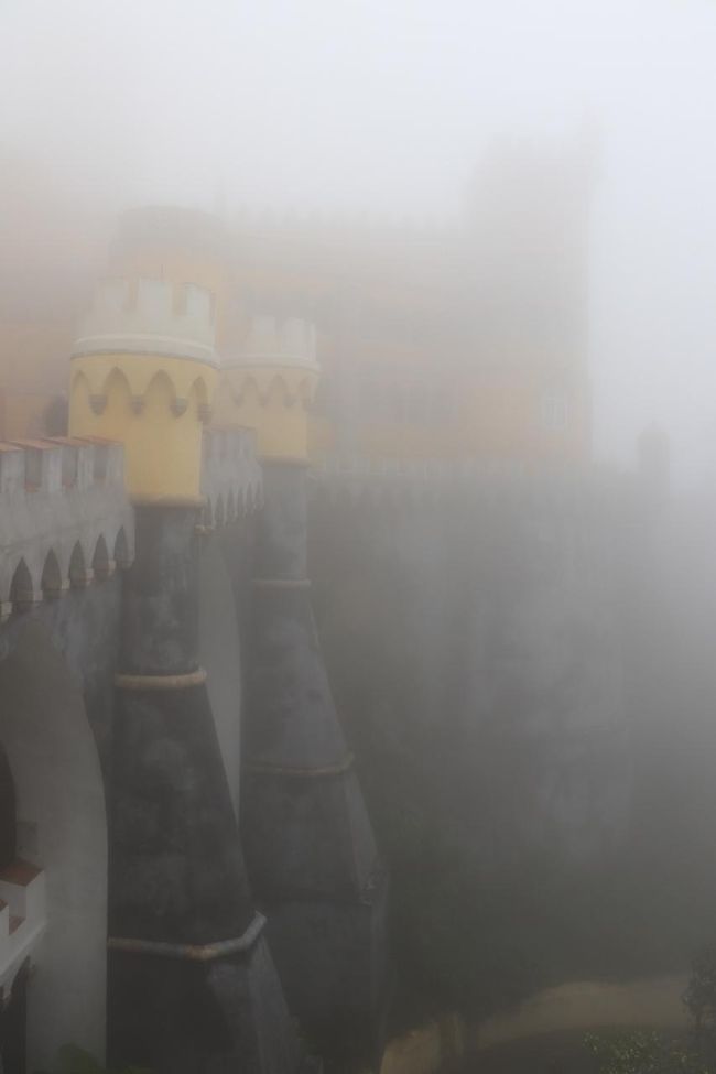 現実はコレですよ(-_-;)