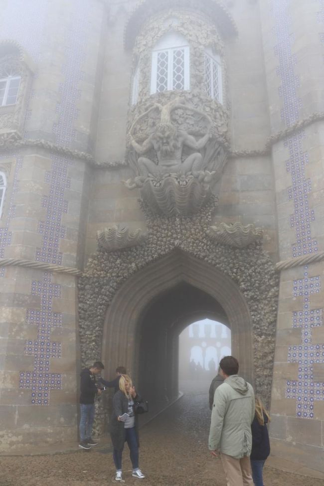 上から視線を感じるよ！