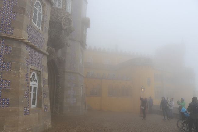 霧に包まれすぎ！