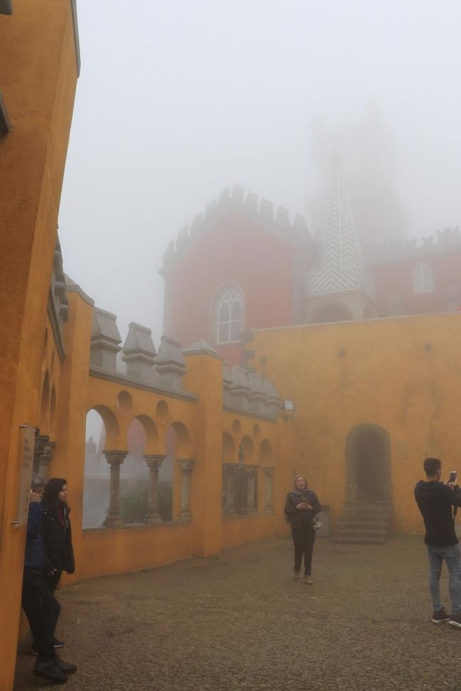 どこから見ても、霧に包まれてます。
