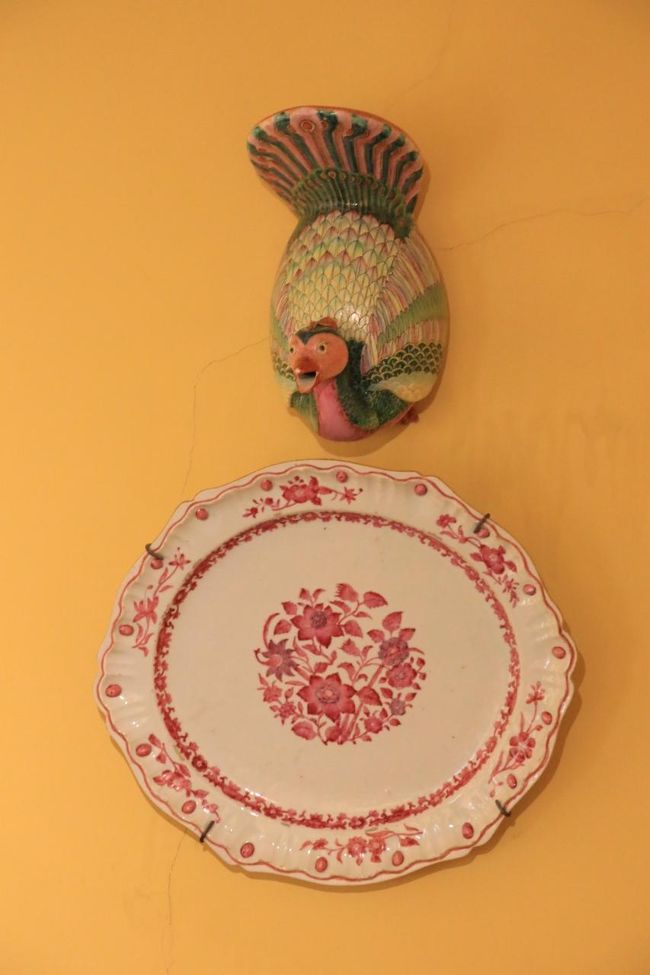 これは何の鳥？